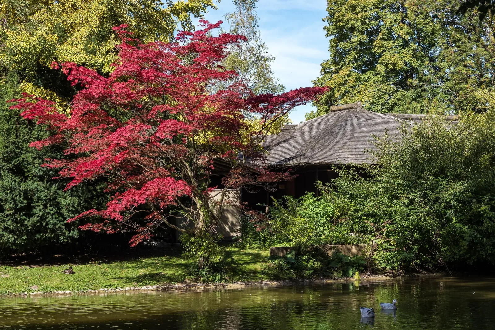 Symbolbild Garten und Außenanlage