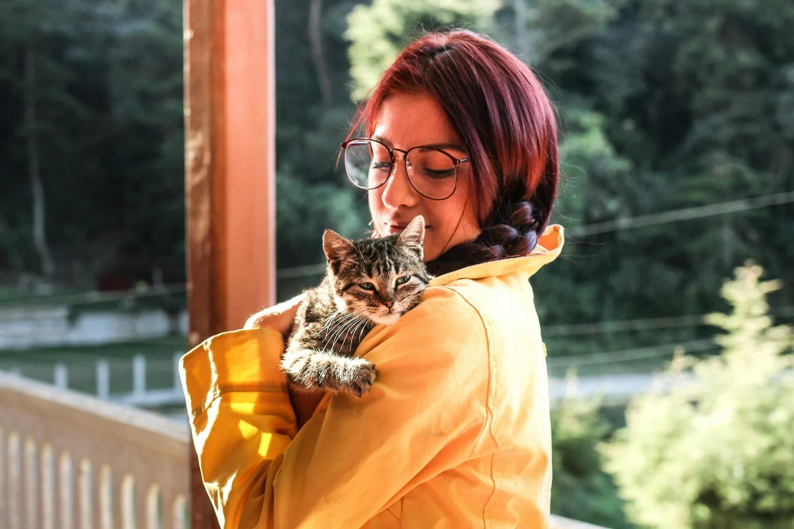 Symbolbild Tiere