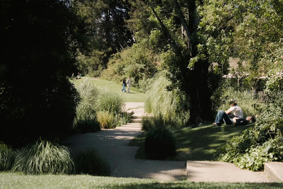 Symbolbild Garten und Außenanlage
