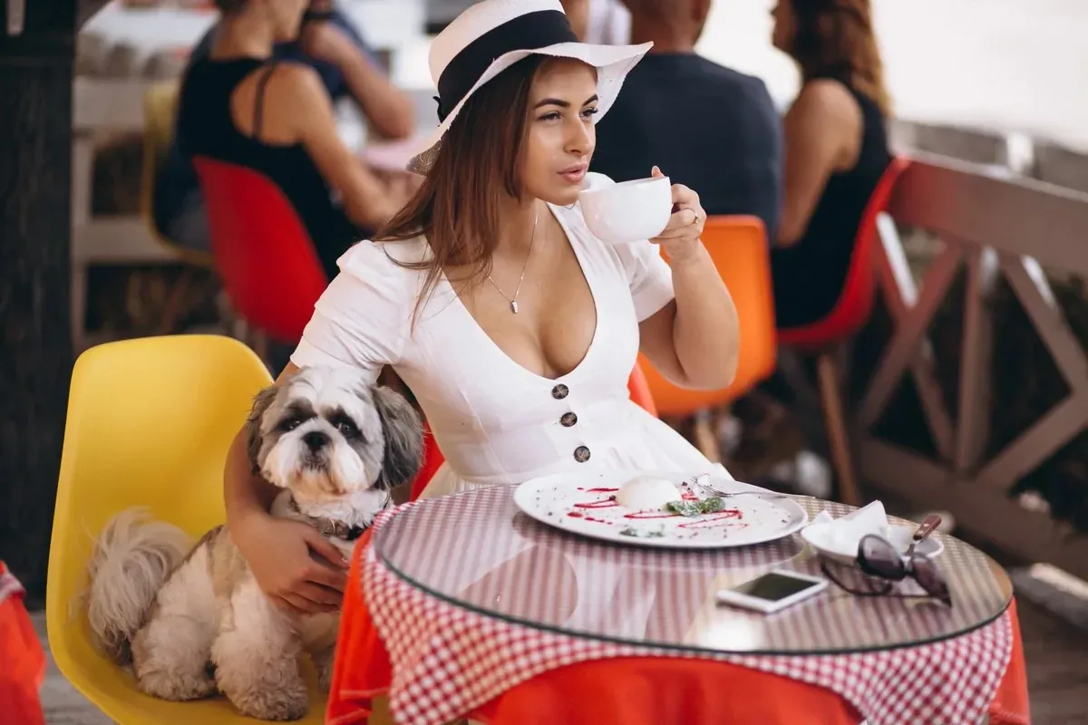 Symbolbild Küche und Gastronomie