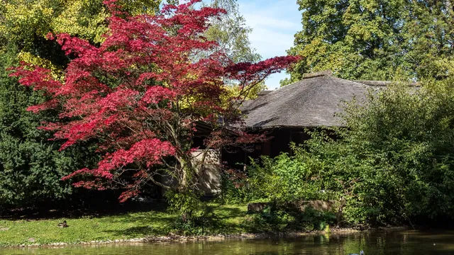 Symbolbild Garten und Außenanlage