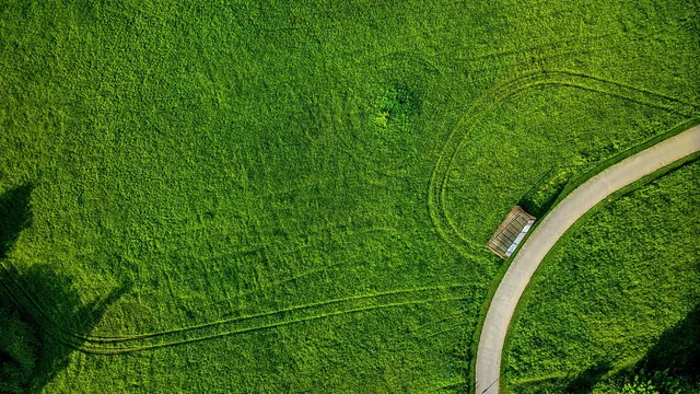Symbolbild Garten und Außenanlage
