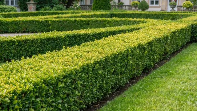 Symbolbild Garten und Außenanlage