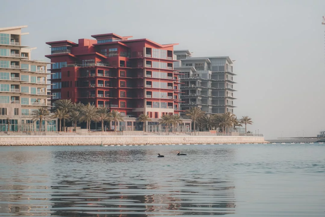 Mehrere moderne Wohngebäude, darunter ein auffälliges rotes, säumen eine Uferpromenade mit Palmen und ruhigem Wasser, in dem sich die Szene spiegelt - ein ruhiger Anblick, der sich perfekt für Immobilienbesichtigungen auf Ibiza eignet. Im Vordergrund schwimmen zwei Vögel.